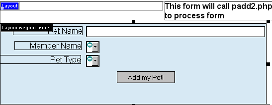 Add a Pet form