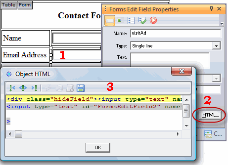 Insert Hidden input field