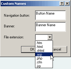 Set the page EXTENSION to ASP