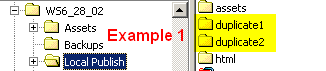 Duplicate Folders
