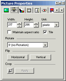 picture Properties Geometry tab