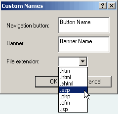 customNamesASP-ext02