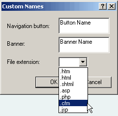 Custom Names CF Extension